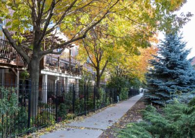 Single family homes along cottontail